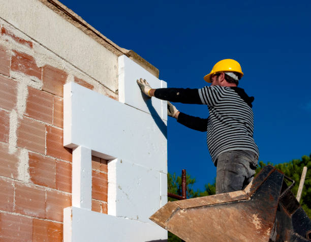 Best Insulation Installation Services in Thomasboro, IL