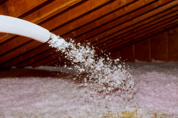 Best Types of Insulation in Thomasboro, IL