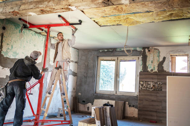 Best Residential Insulation in Thomasboro, IL