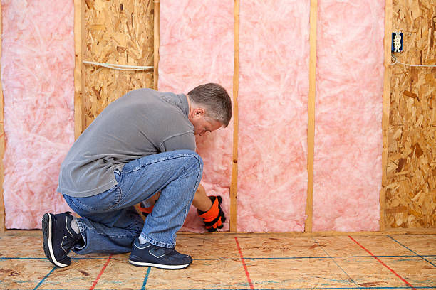 Best Energy Efficiency Solutions in Thomasboro, IL
