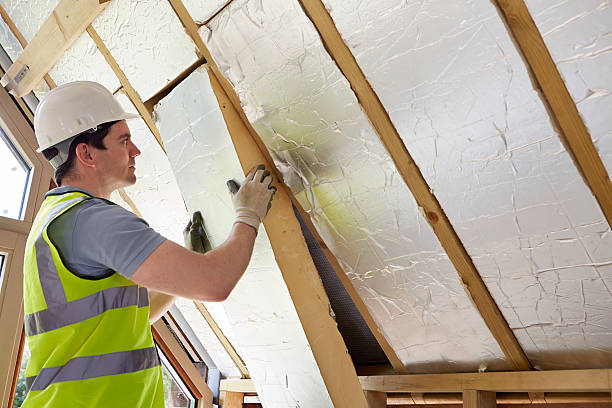 Best Commercial Insulation in Thomasboro, IL