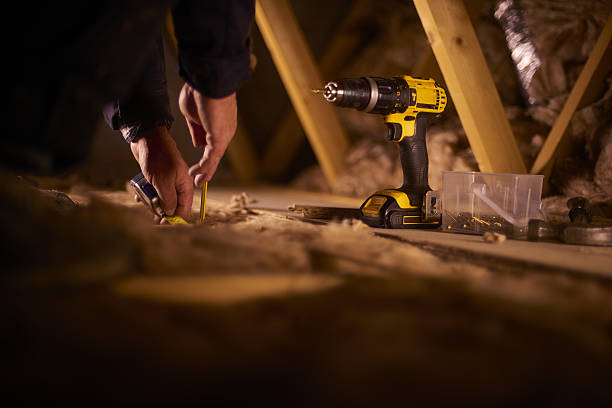 Best Insulation Maintenance and Repair in Thomasboro, IL