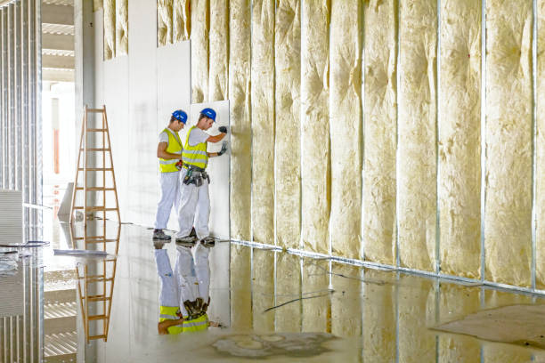 Best Commercial Insulation in Thomasboro, IL